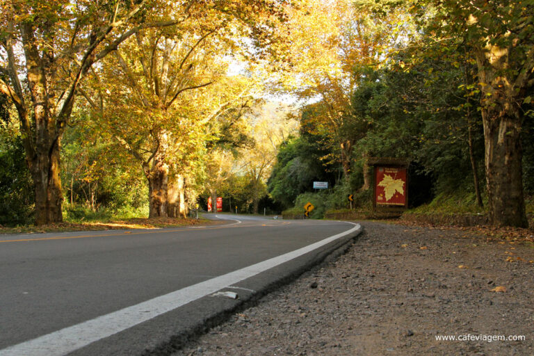 Como Chegar Em Gramado E Canela Dicas De Transportes E Rotas