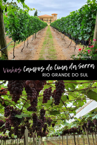 Vinícolas e vinhos de Campos de Cima da Serra