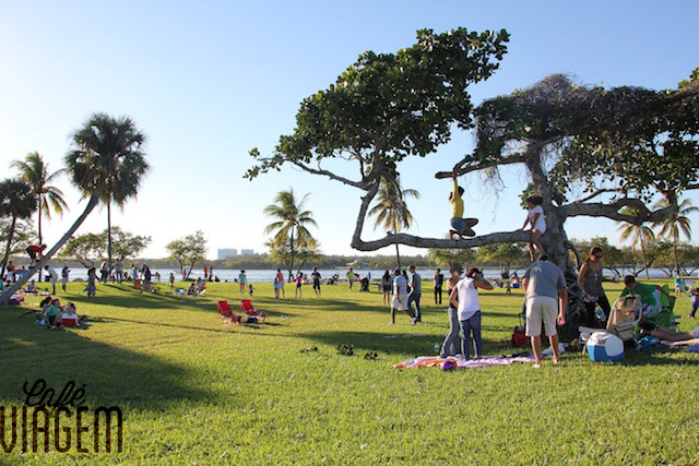 Onde assistir e praticar esportes em Miami