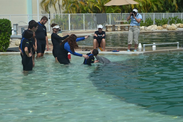 A interação com golfinhos no Miami Seaquarium