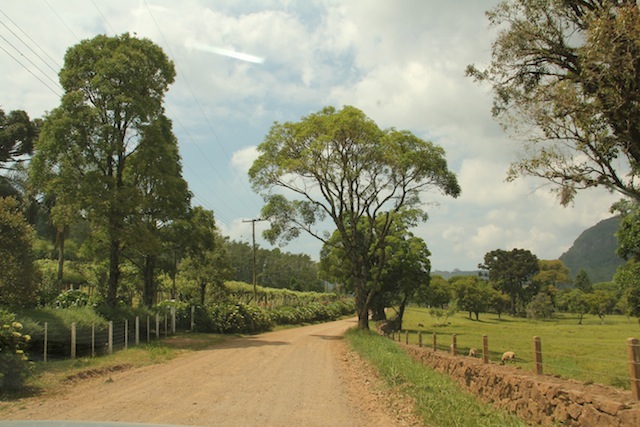 A estrada rural até o Ecoparque Sperry