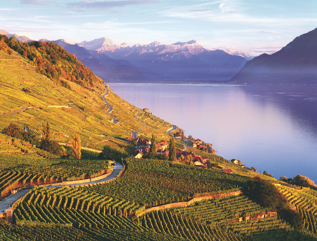 vinhedos de Lavaux Suíça