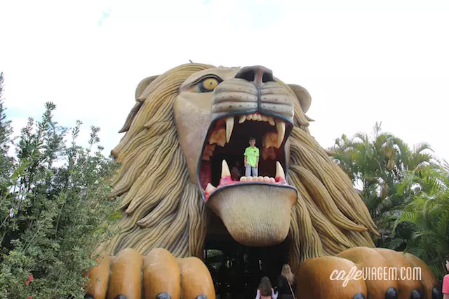 Os shows e o zoológico do Beto Carrero World