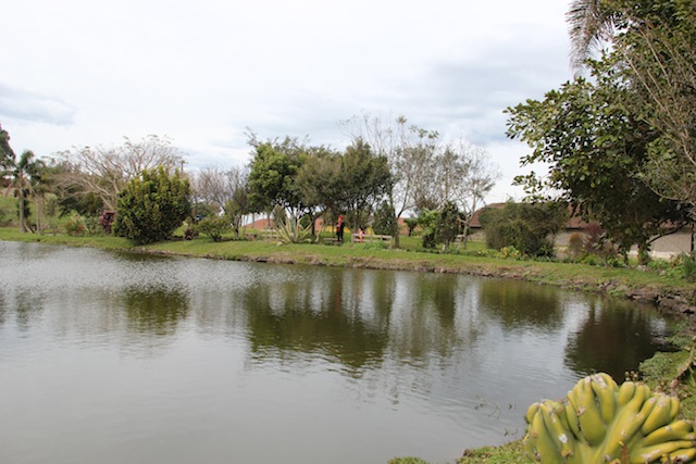 o jardim do restaurante