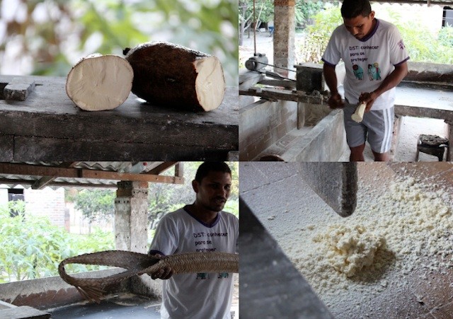 Aprendendo o passo a passo da formar artesanal de fazer a farinha de mandioca