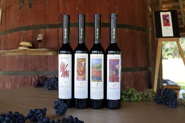 Os vinhos feitos com a colheita simbólica do Vinhedo do Mundo. Foto crédito Daniel Anderson 