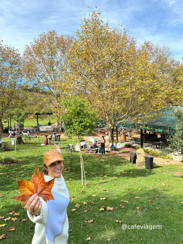 Wine Garden Miolo Vale dos Vinhedos