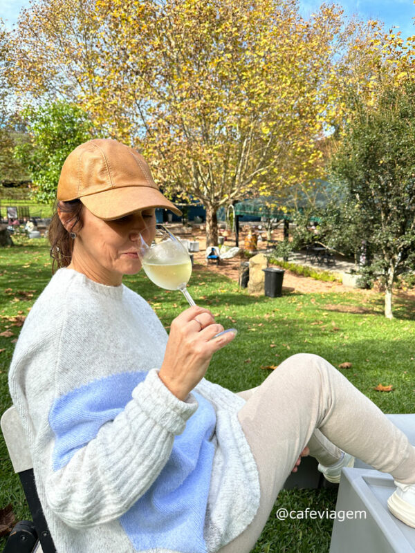 Wine Garden Miolo Vale dos Vinhedos