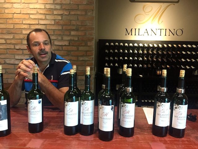 Luís Milani apresentando seus vinhos na Milantino