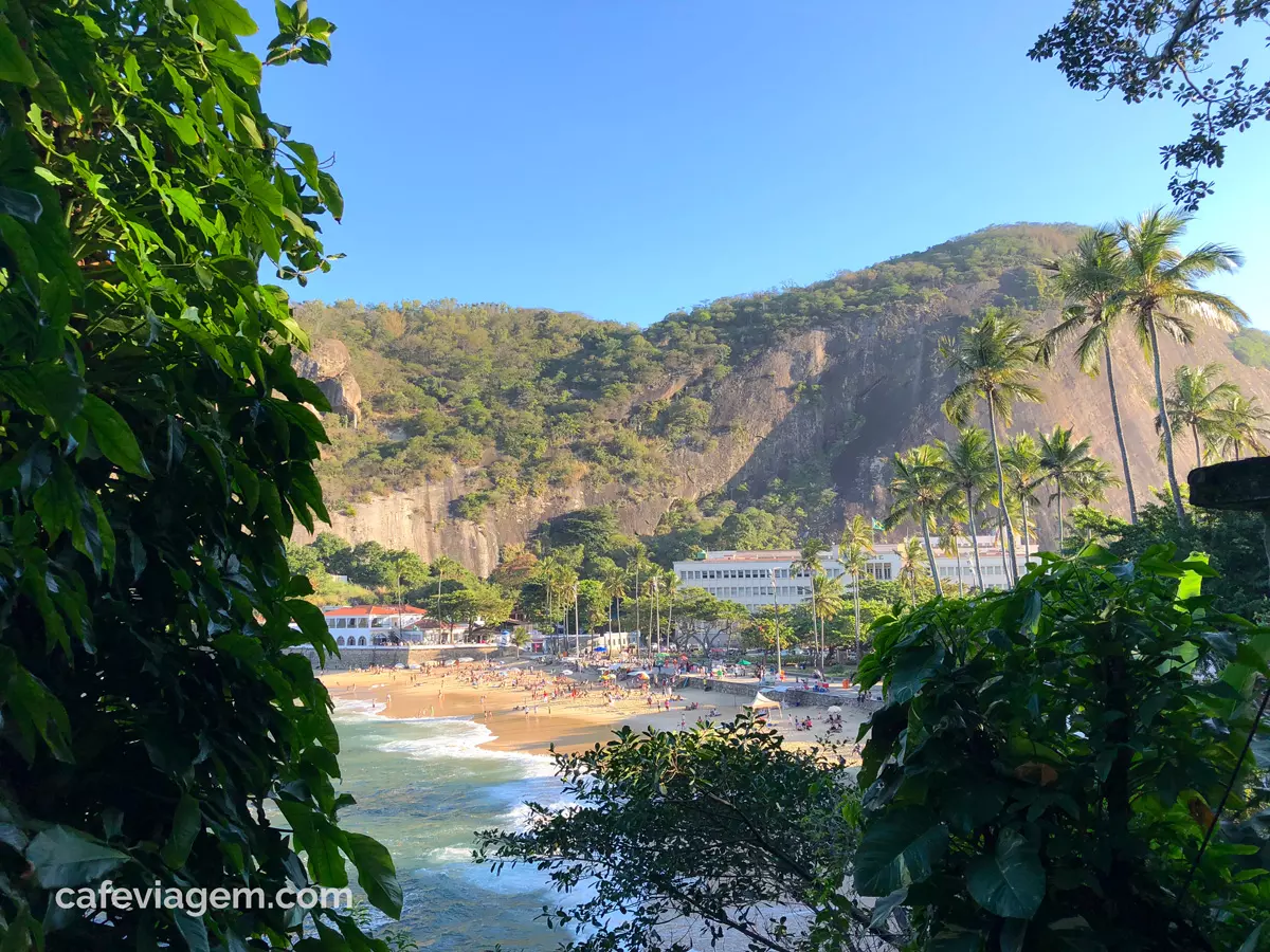 Aves e Árvores: Visita à Pista Claudio Coutinho no Morro da Urca (RJ):  paraíso do Tiê-Sangue e outras aves