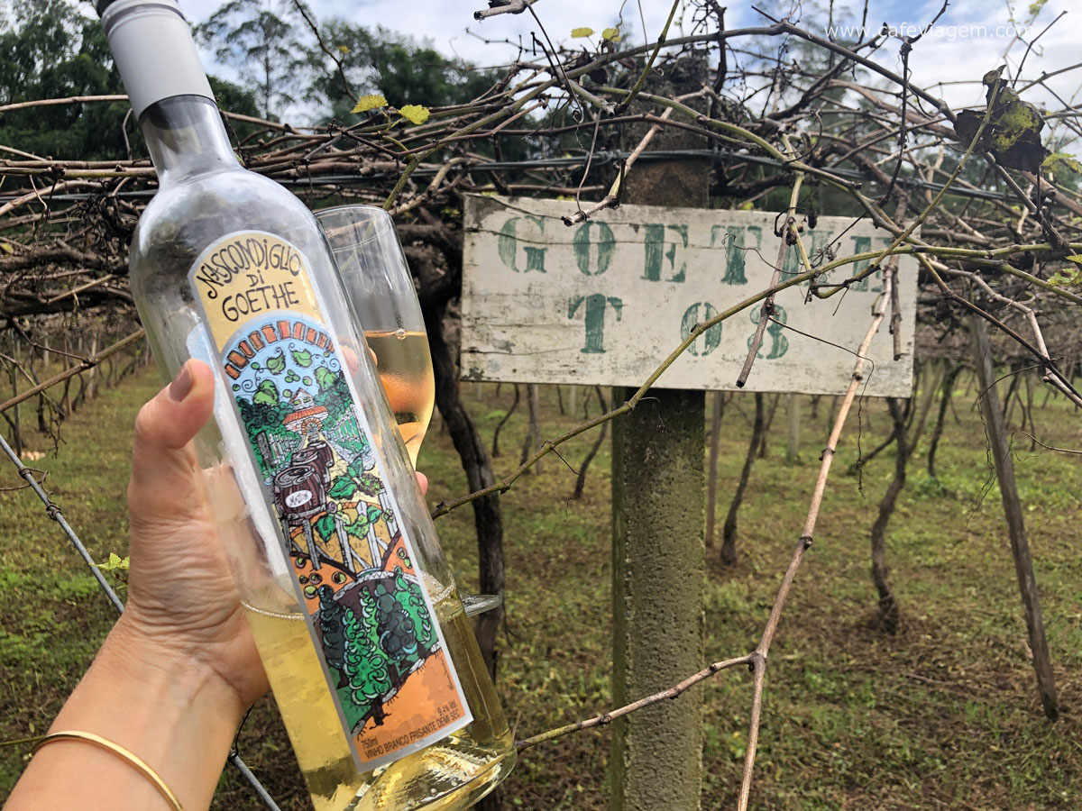 vinho uva Goethe