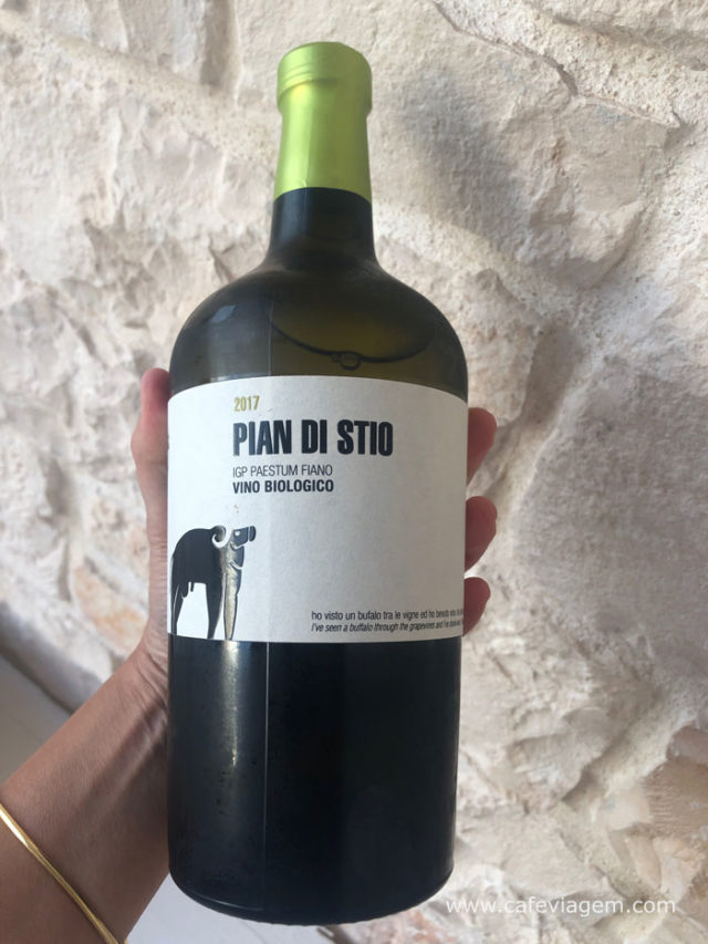 vinhos Fiano Campânia