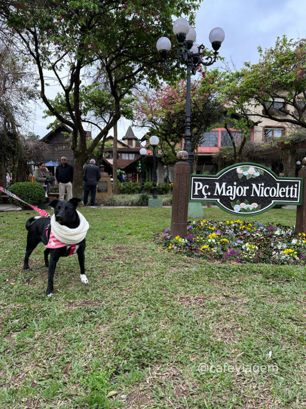 O que fazer em Gramado com cachorro 