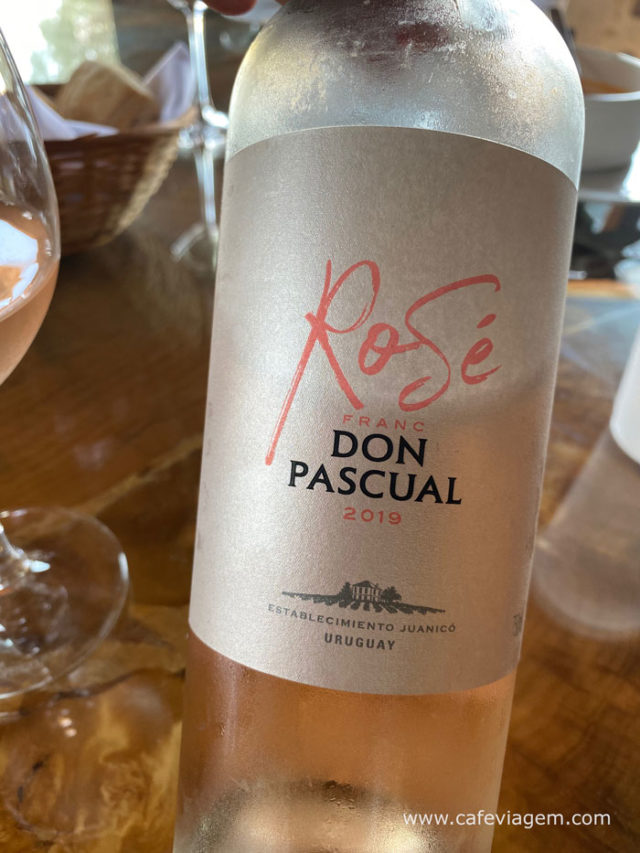 Coastal Don Pascual rose