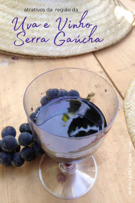 Uva e Vinho na Serra Gaúcha