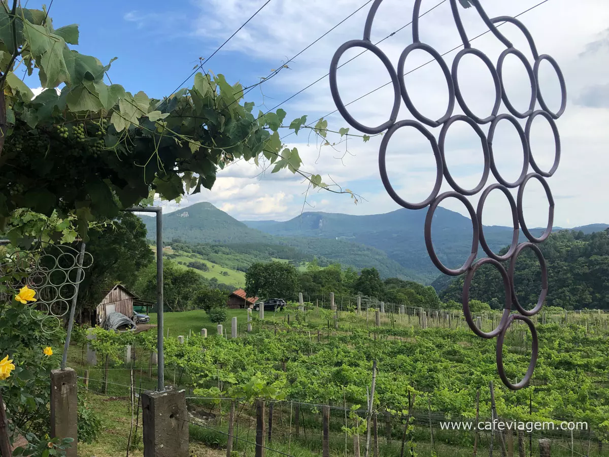 Vinícola Ravanello em Gramado – Dica de tour e degustação