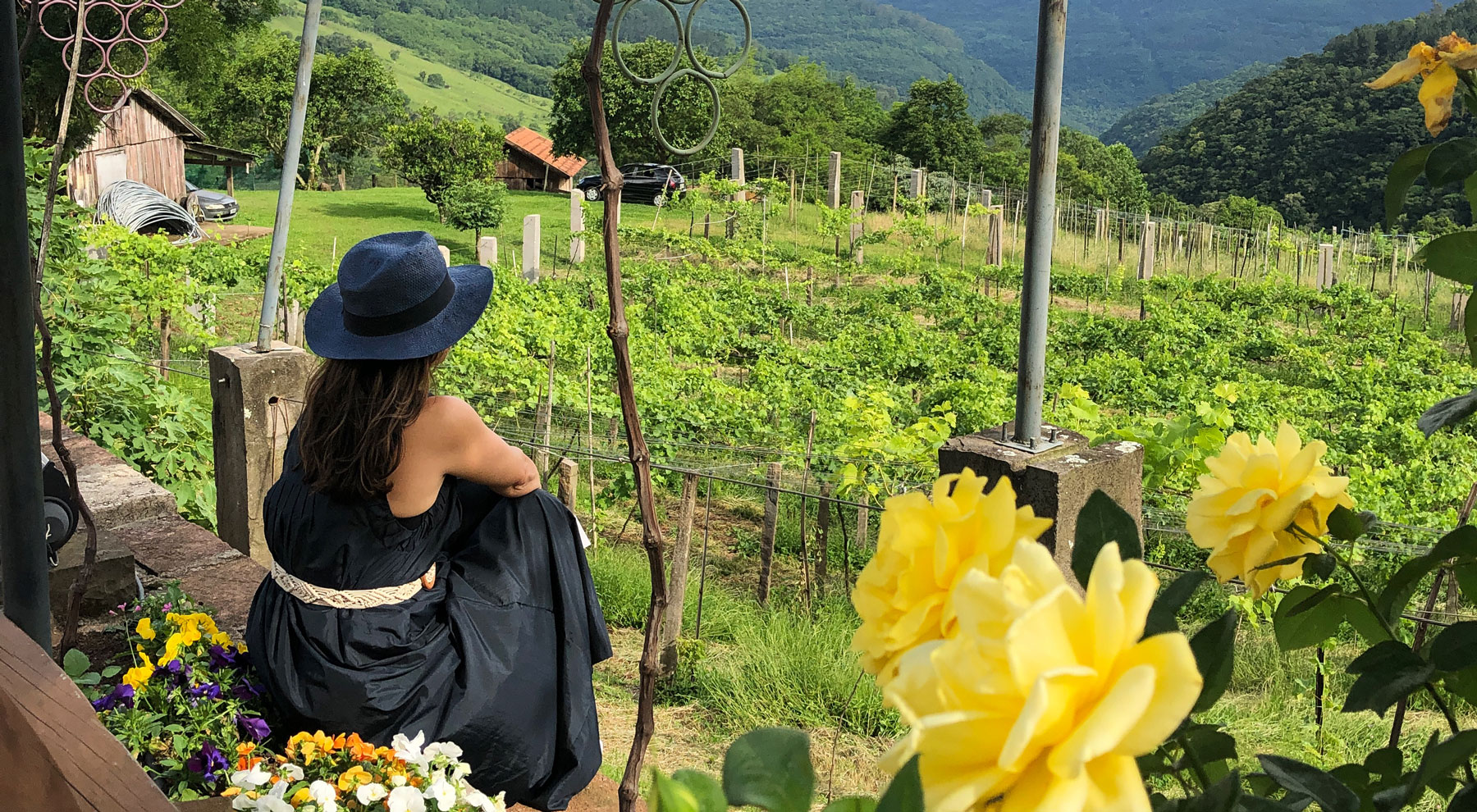 Vinícola Ravanello em Gramado: visita e degustação de vinhos