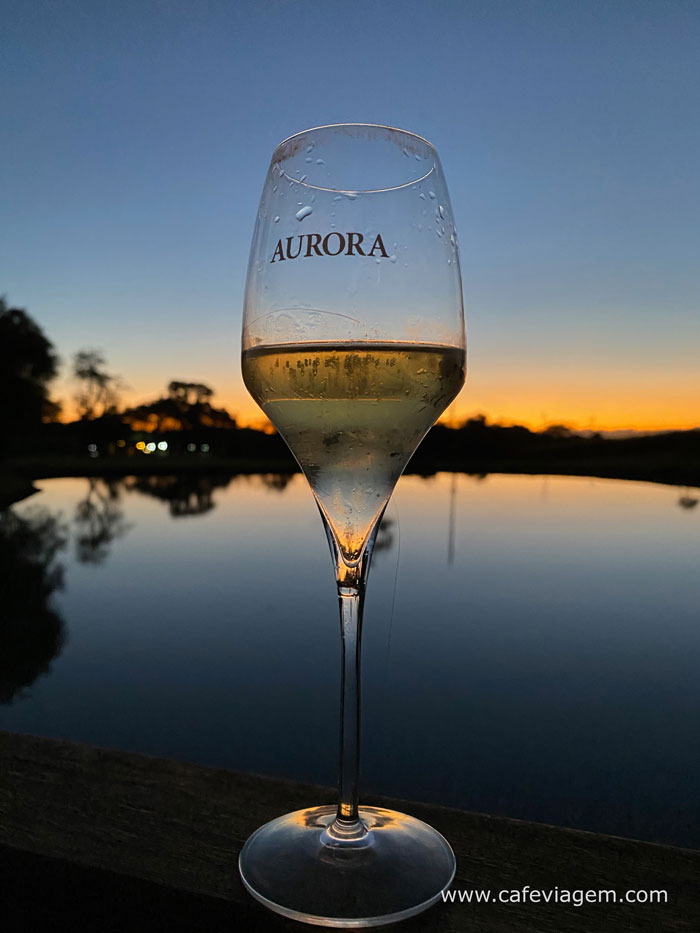 Aurora vinícola