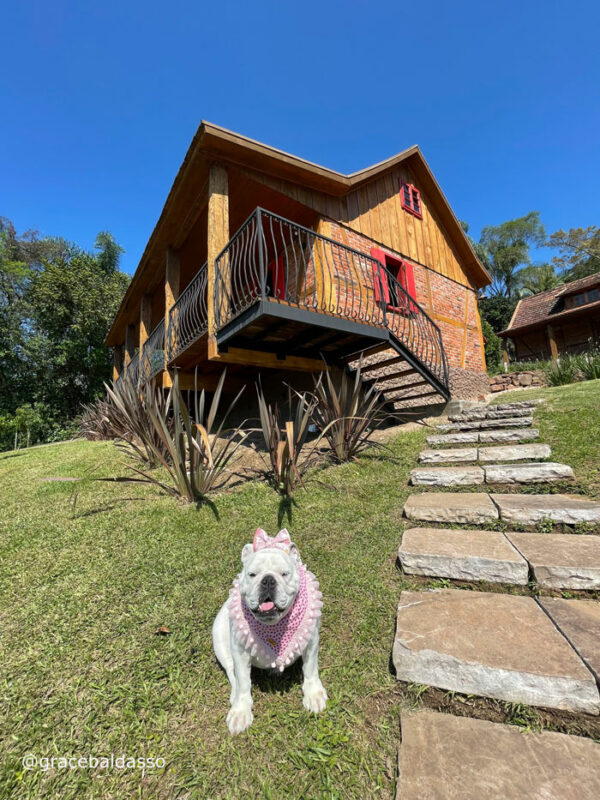 Hotéis Pet Friendly RS