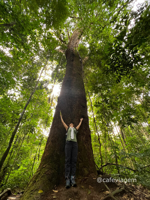 Roteiro Alter do Chão 9 dias de emoções na Amazônia