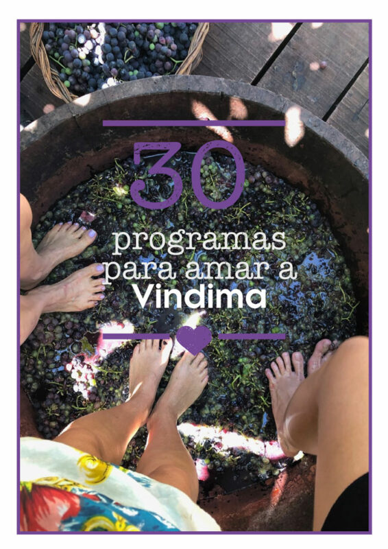 Vindima serra gaúcha programação