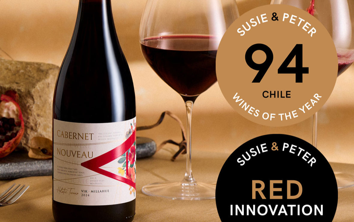 VIK Cabernet Nouveau: o tinto leve e premiado com Cupom de desconto