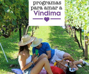 Vindima Serra Gaucha o que fazer