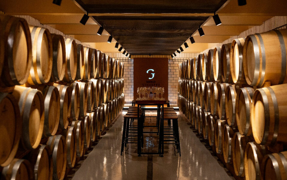 Tour Giuseppe Miolo Vale dos Vinhedos