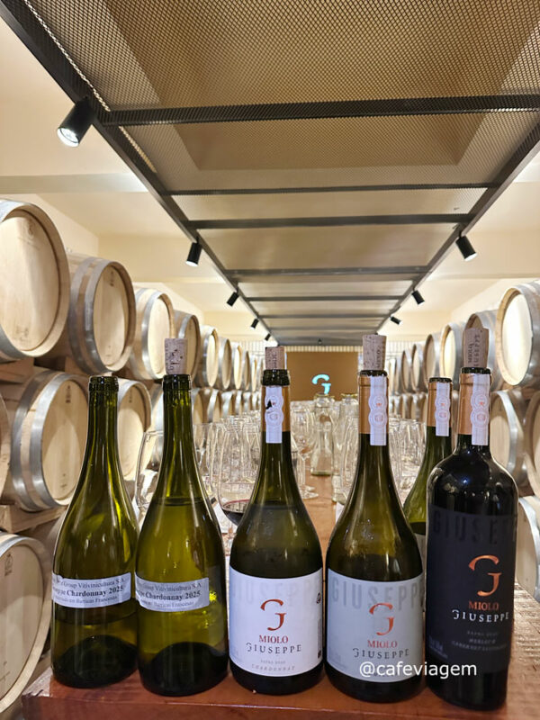 Tour Giuseppe Miolo degustação
