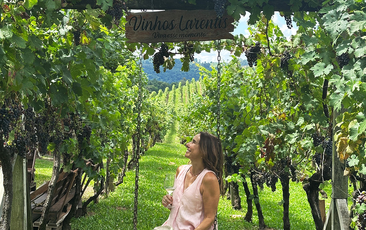 Vindima Vale dos Vinhedos