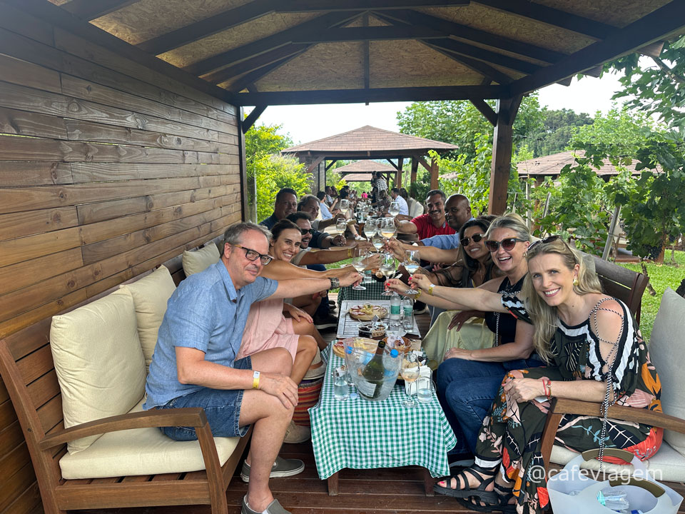 Vindima Vale dos Vinhedos