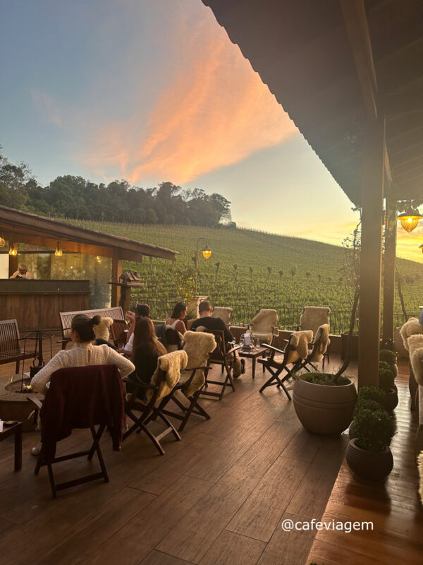 Vindima Vale dos Vinhedos