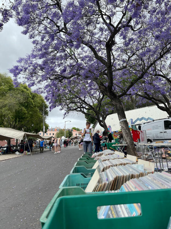 Mercados de Rua na Europa: feira da Ladra em Lisboa