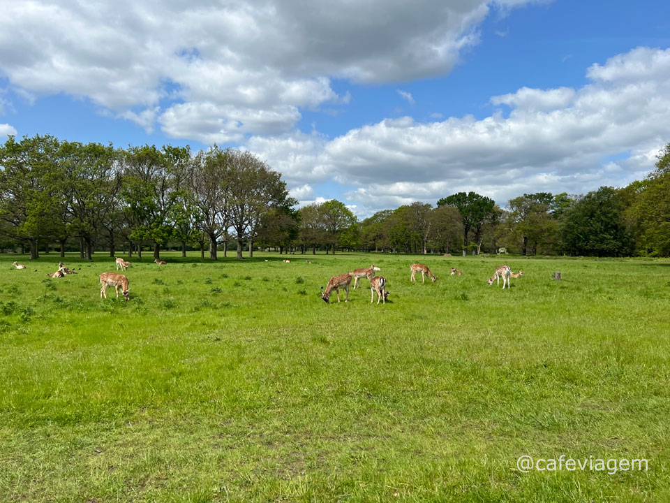 Richmond Park Londres