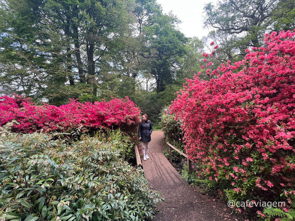 Isabella Plantation Richmond Park
