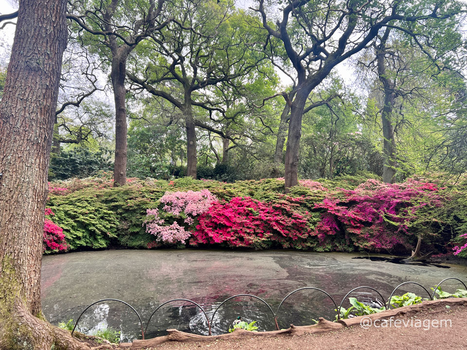 Isabella Plantation Richmond Park