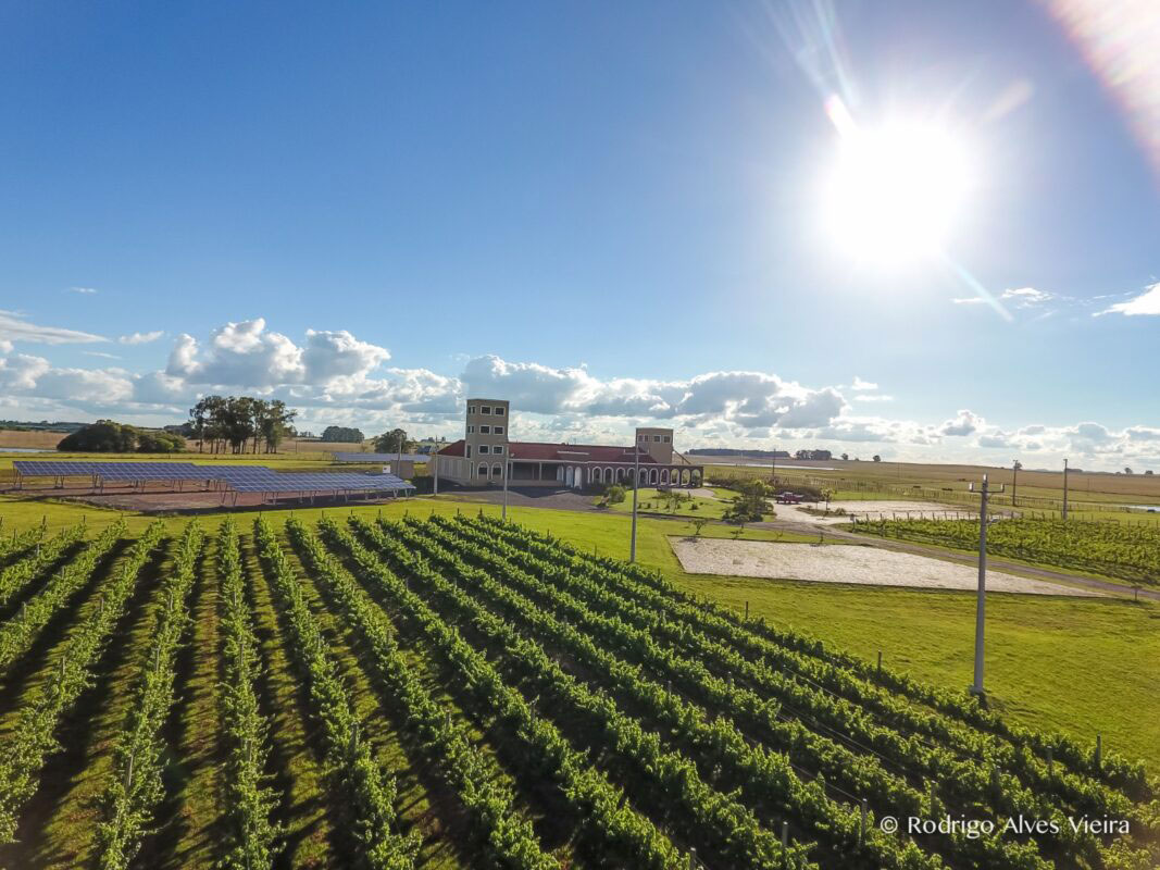 roteiro Campanha Gaúcha vinícolas